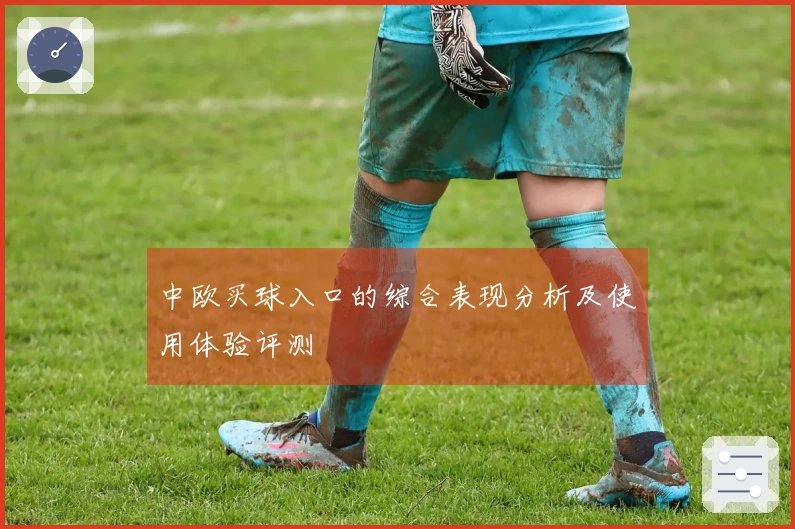 中欧买球入口的综合表现分析及使用体验评测