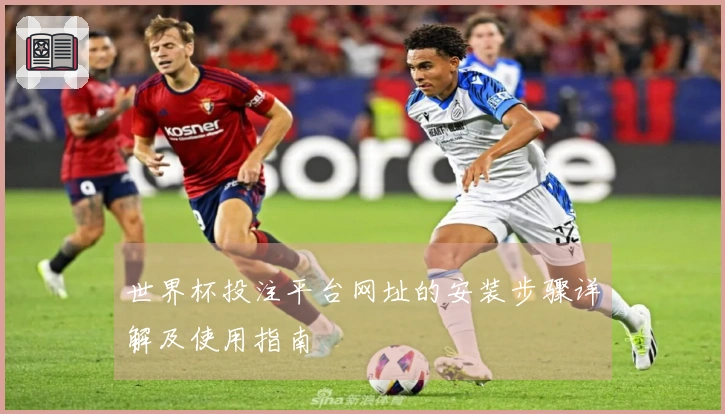 世界杯投注平台网址的安装步骤详解及使用指南
