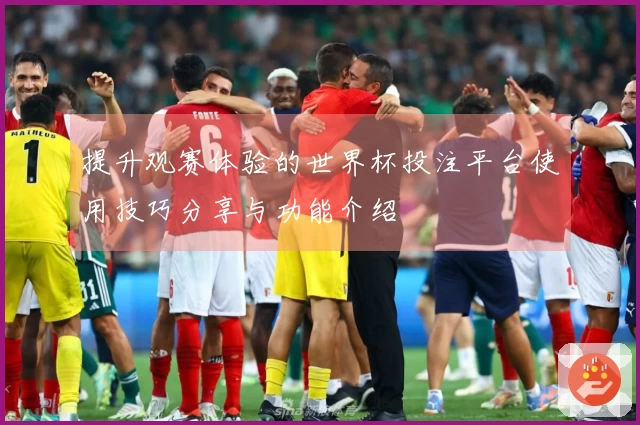 提升观赛体验的世界杯投注平台使用技巧分享与功能介绍