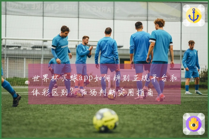 世界杯买球app如何辨别正规平台和体彩区别？临场判断实用指南